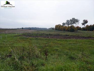 Działka rolna na sprzedaż Królowa Wola 28 400m2 Foto 1