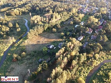 Działka inna na sprzedaż Przygłów 3 700m2 Foto 4