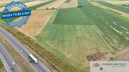 działka na sprzedaż 20517m2 działka Święciechowa