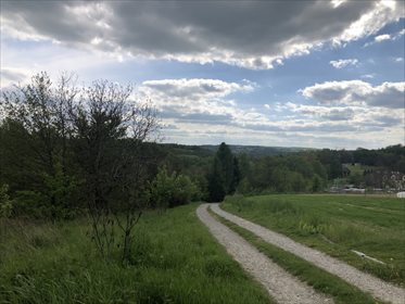 działka na sprzedaż 1700m2 działka Chmielnik