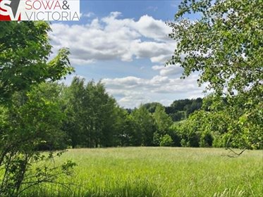Działka 1400 m2 z drzewami, plan pod zabudowę działka Sierpnica