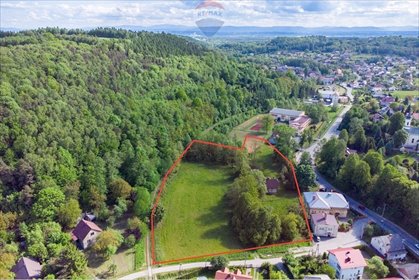 działka na sprzedaż 10400m2 działka Regulice