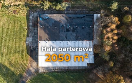 Lokal użytkowy na sprzedaż Łąka 2 051m2 Foto 3