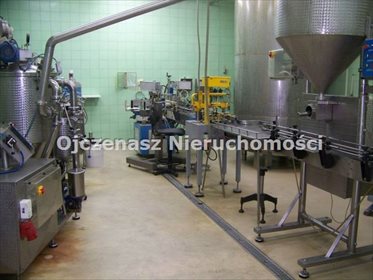 Magazyn na sprzedaż Inowrocław 4 614m2 Foto 6