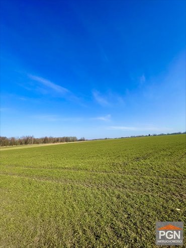 Polecam działkę rolną 24 400 m² w Trzebiatowie okolica działka Trzebiatów okolica