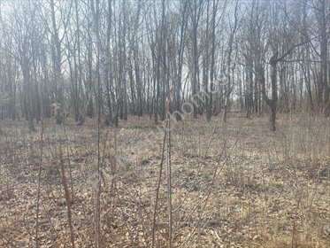 działka na sprzedaż 1720m2 działka Milanówek