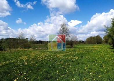 Działka z warunkami zabudowy i możliwością budowy domu działka Holendry Dobrowskie