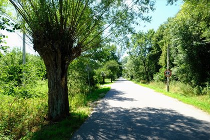 działka na sprzedaż 11700m2 działka Kampinos