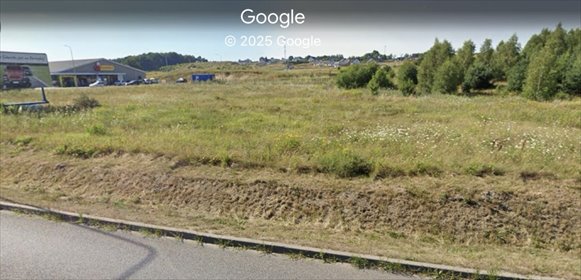 działka na sprzedaż 5900m2 działka Borkowo