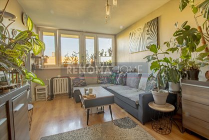 mieszkanie na sprzedaż 36m2 mieszkanie Legnica