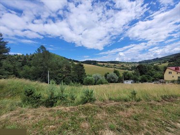 działka na sprzedaż 1424m2 działka Krzyżówka