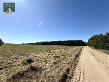 Duża działka rolna 2,14 ha w Werpolu, spokój i natura - polecam! działka Werpol