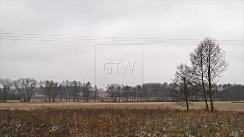 Polecam działkę inwestycyjną 5773 m² z mediami i dobrym dojazdem działka Grójec