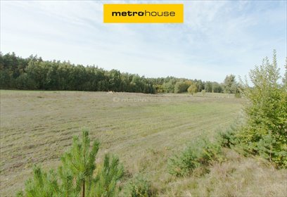 Polecam działkę 1609 m² pod lasem w Grochowiskach działka Grochowiska