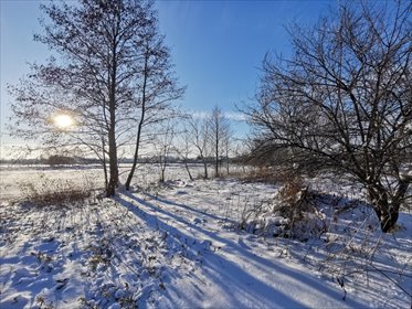 Działka 13 ar pod dom w spokojnej okolicy Głuchowa działka Głuchów