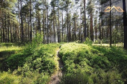 działka na sprzedaż 20000m2 działka Joniny