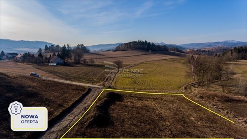 działka na sprzedaż 1102m2 działka Dzikowiec