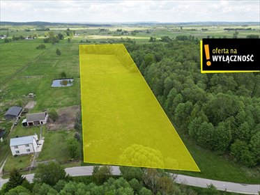 Duża działka 11 380 m² z potencjałem inwestycyjnym działka Stojewsko