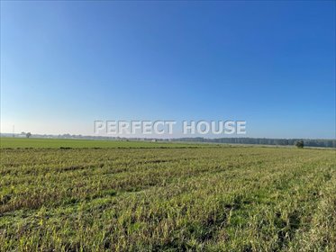 działka na sprzedaż 1159m2 działka Czmoń