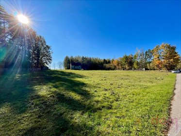 Działka 5400 m² z domem, dostęp do drogi asfaltowej działka Korczyn