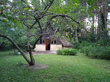 Działka budowlana na sprzedaż Glinianka 729m2 Foto 1