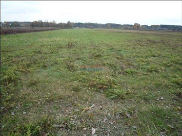 Działka 1303 m² z mediami, blisko gazu i prądu - polecam! działka Kąty, Kąty
