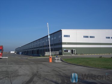 lokal użytkowy na wynajem 1845m2 lokal użytkowy Wola Mrokowska