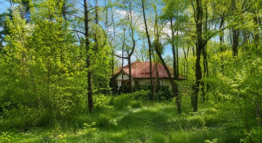Działka 1380 m² w Białołęce - zapraszam działka Warszawa, Białołęka, Pstra