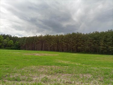 działka na sprzedaż 1375m2 działka Lisia Góra