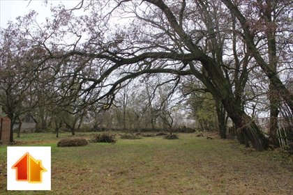 działka na sprzedaż 3000m2 działka Gąbin, Kielniki