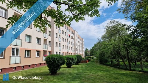 Słoneczne 2-pokojowe mieszkanie z widokiem na zieleń mieszkanie Białystok, Wygoda, Pułkowa