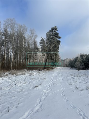 działka na sprzedaż 13800m2 działka Grzegorzewice