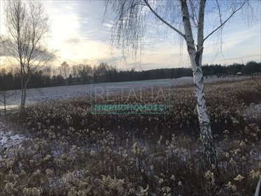 działka na sprzedaż 9830m2 działka Strzeniówka