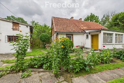 dom na sprzedaż 100m2 dom Nowy Dwór Gdański, Bolesława Chrobrego