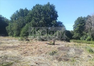 działka na sprzedaż 18000m2 działka Podkowa Leśna