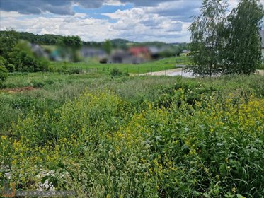 Działka budowlana 881 m² w Masłomiący – spokojna okolica działka Masłomiąca