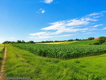 Działka rolna 73 arów z mediami, blisko Zielonek działka Bibice