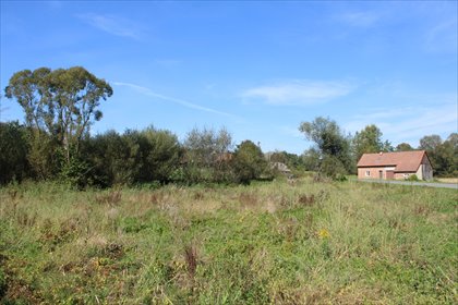 działka na sprzedaż 2600m2 działka Kobylec