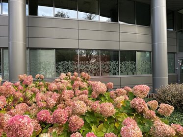 lokal użytkowy na wynajem 562m2 lokal użytkowy Warszawa, Ochota, Ochota