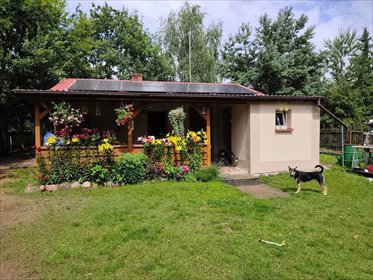 dom na sprzedaż 43m2 dom Bindużka