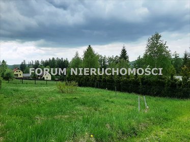 Malownicza działka 36 arów z domkiem i projektem działka Laliki