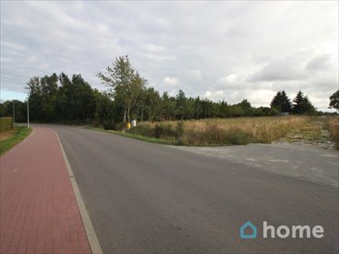 Działka 17 913 m² pod inwestycję mieszkaniową i usługową działka Konikowo