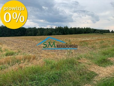 działka na sprzedaż 18409m2 działka Pobyłkowo Małe