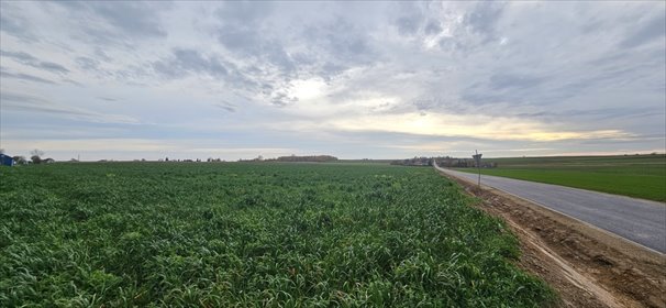 działka na sprzedaż 1100m2 działka Zalesie