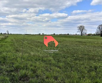 działka na sprzedaż 1302m2 działka Olimpin