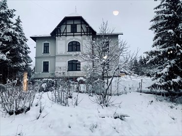 dom na sprzedaż 505m2 dom Cieszyn, Hieronima Przepilińskiego