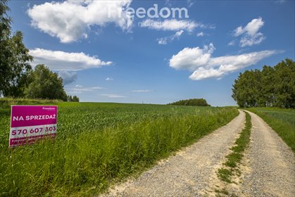 działka na sprzedaż 4600m2 działka Wysoka Strzyżowska
