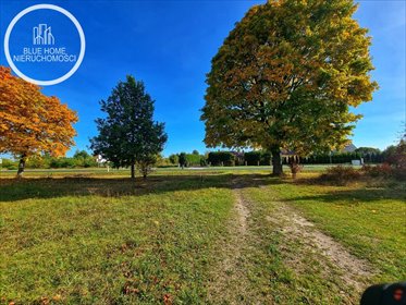 działka na sprzedaż 11530m2 działka Suszno