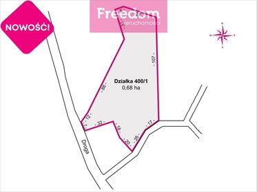 Działka rekreacyjna na sprzedaż Huta Brzuska 6 700m2 Foto 4