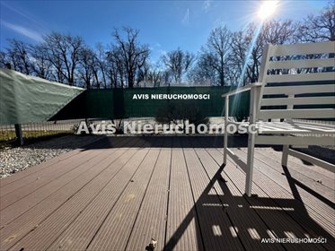 mieszkanie na wynajem 33m2 mieszkanie Świdnica